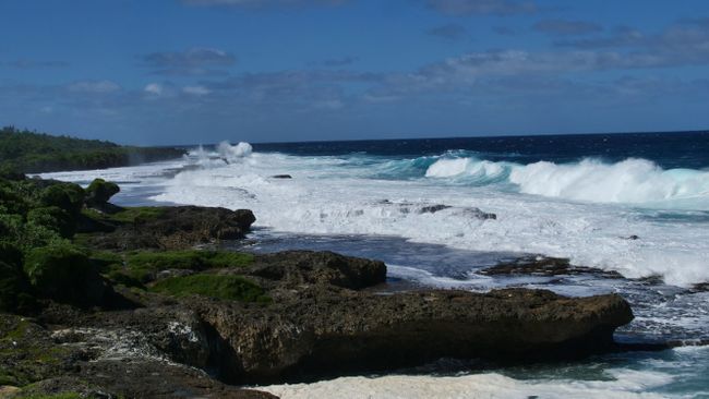 Blow Holes