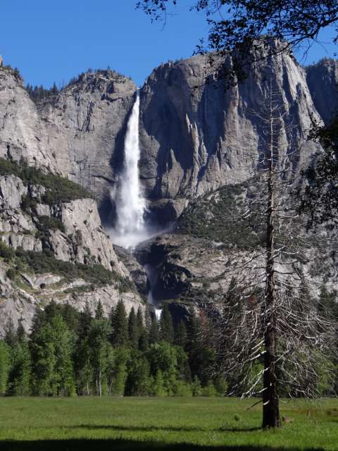 Dank den vielen Niederschlägen in den letzten Monaten führte der Yosemite Fall aussergewöhnlich viel Wasser