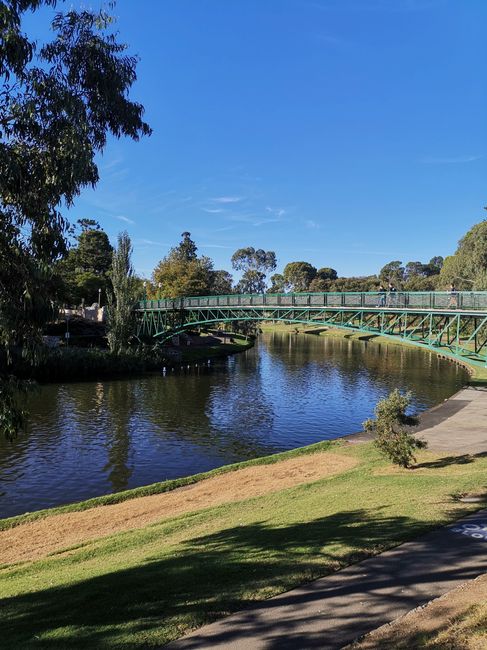 Einer der vielen Parks in Adelaide 