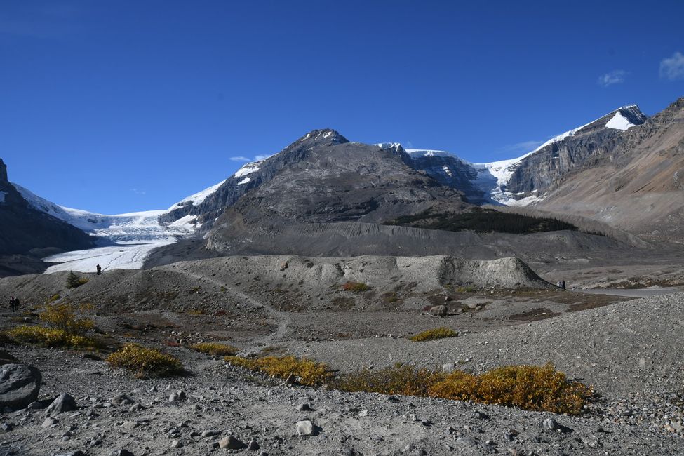 Athabasca Glacier und Dome Glacier