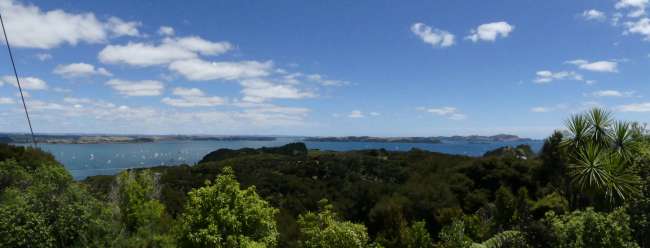 Panorama über die Bay of Islands