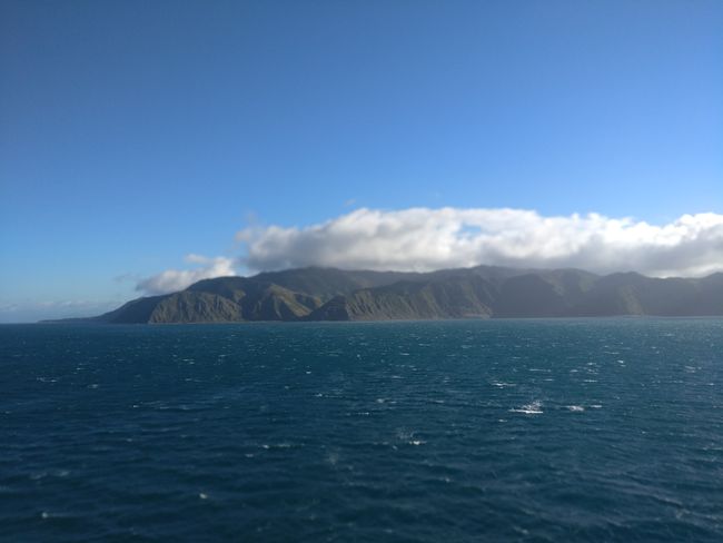 Die Bucht von Wellington