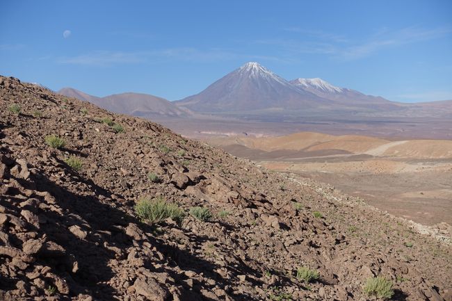 Atacamawüste - Chile