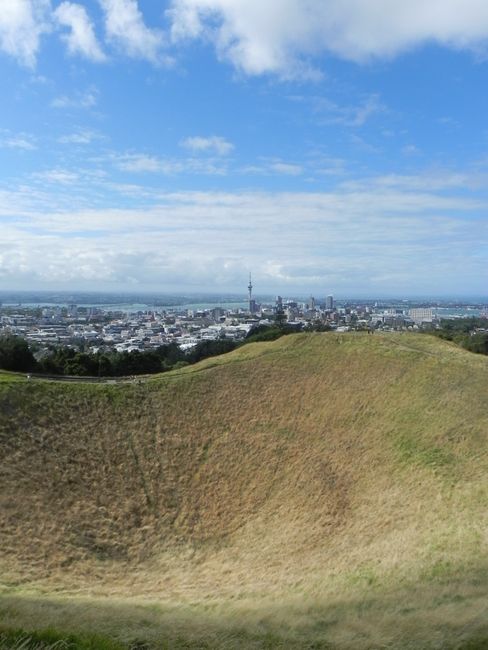 Blick auf Auckland vom Mount Eden
