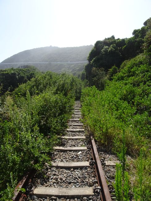 דרום אפריקאנער וועג טריפּ IV - ווילדערנעסס