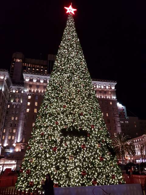 Union Square mit Schlittschuhbahn und Weihnachtsbaum