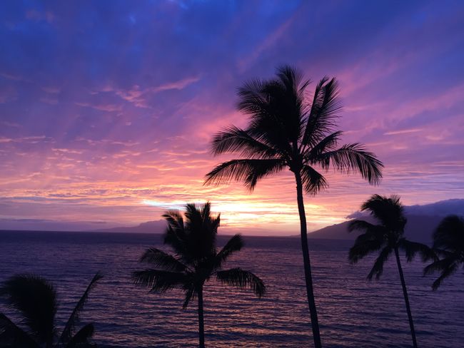 Maui the Surfer's Paradise