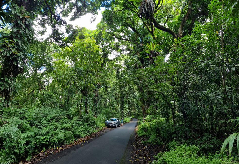 Hawaii 2022 - Teil 1: Big Island