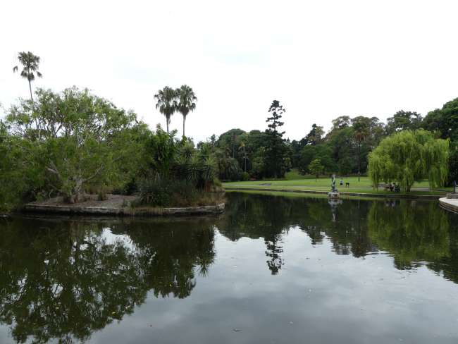 Pond in the Royal Botanic Gardens