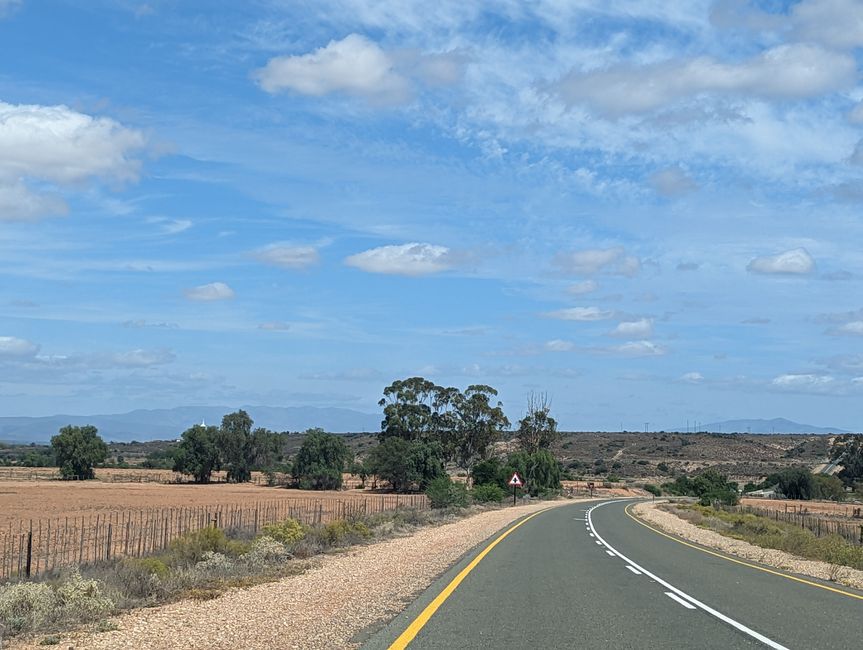 D'Oudtshoorn à Hermanus - avec un détour dans le 'Midwest'