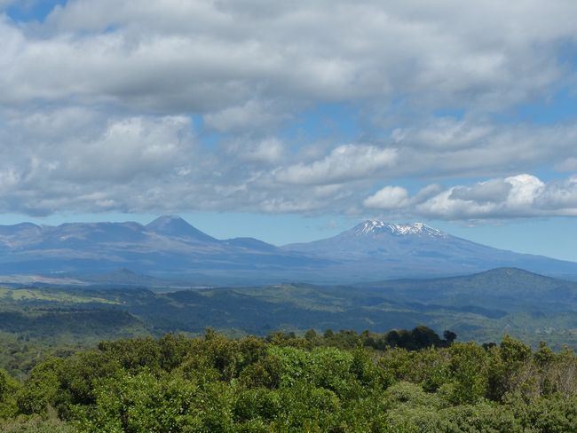 Berge des Tongariro National Parks