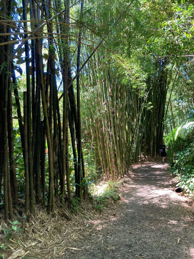 Road to Hana - Maui's Garden of Eden