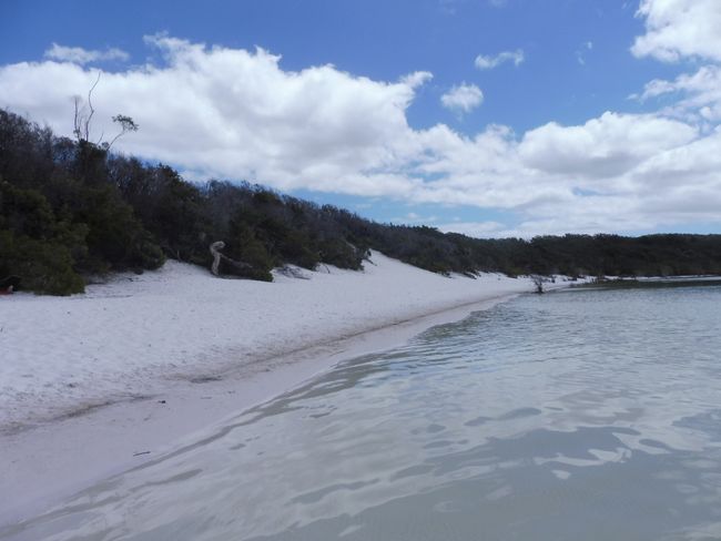 02.11.-06.11.18 - Hervey Bay und Fraser Island