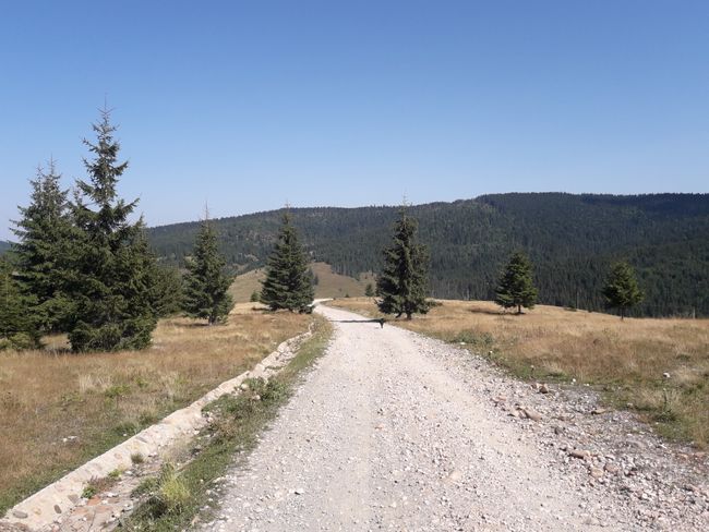 Abstieg nach Giurcuța de Sus
