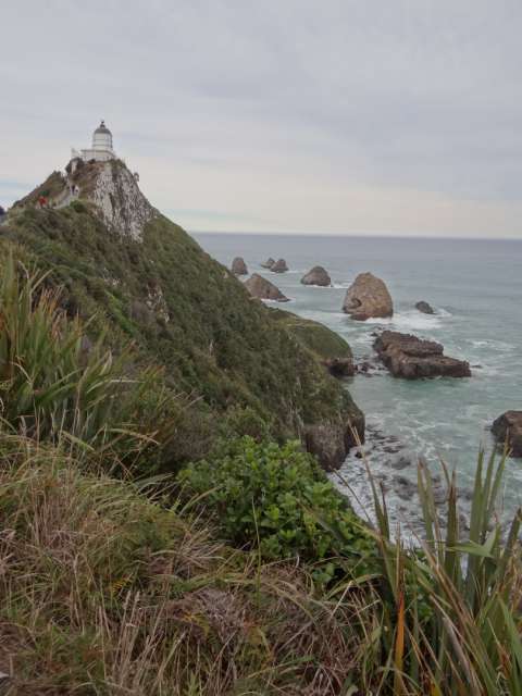 Südinsel von Neuseeland: Ost- und Südküste