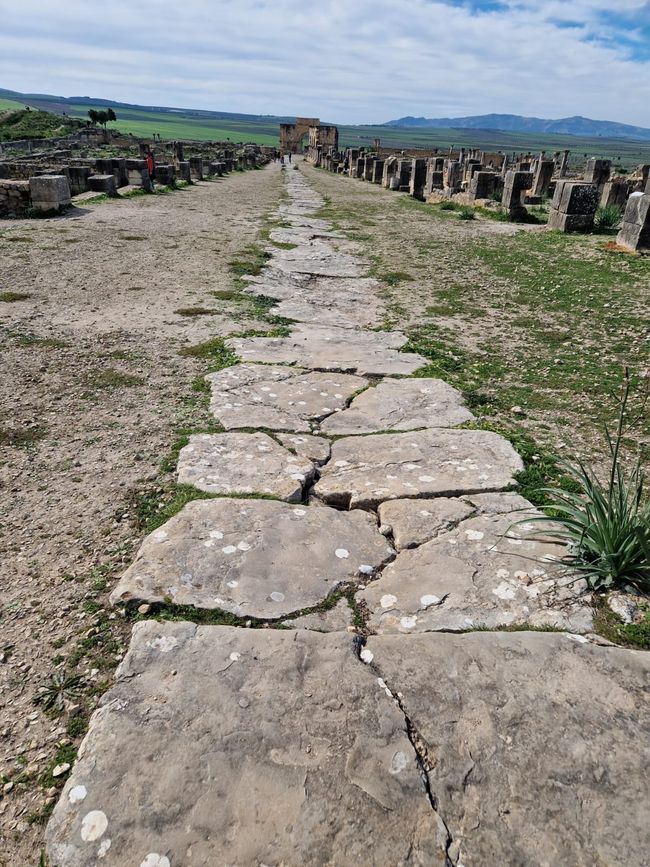 Volubilis - Monument from ancient Roman times 3rd century BC.