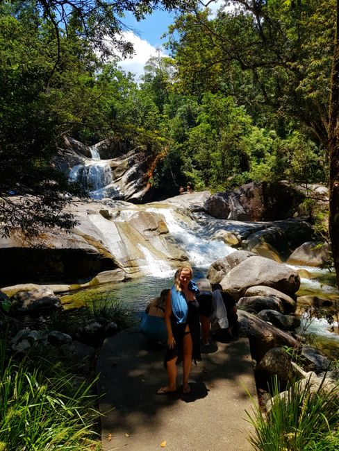 Cairns: Regenwald und Wasserfälle