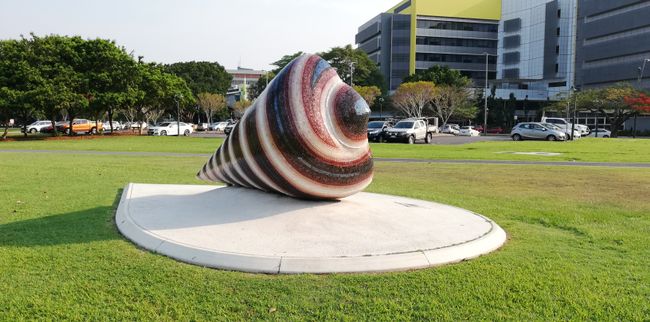 A shell sculpture