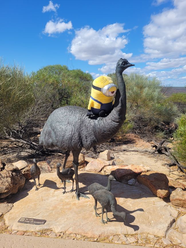 Stuart with emu family