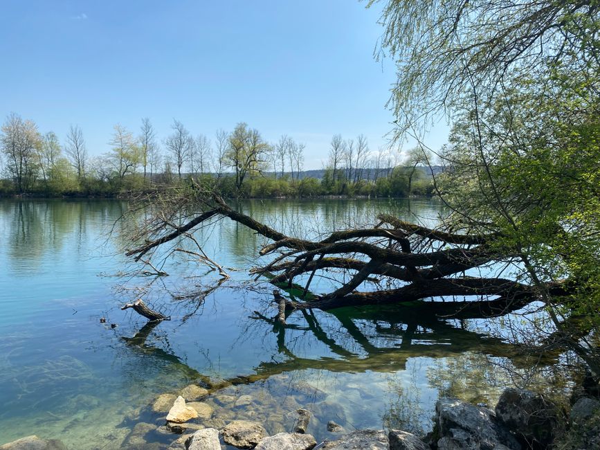 Etapa 22 del Lago de Ginebra Solothurn 22.6 Km (490.9 Km)