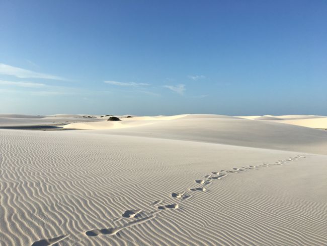 Three days barefoot through the desert