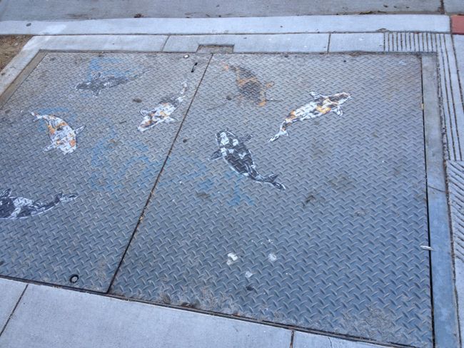 Bay West: San Francisco y Berkeley