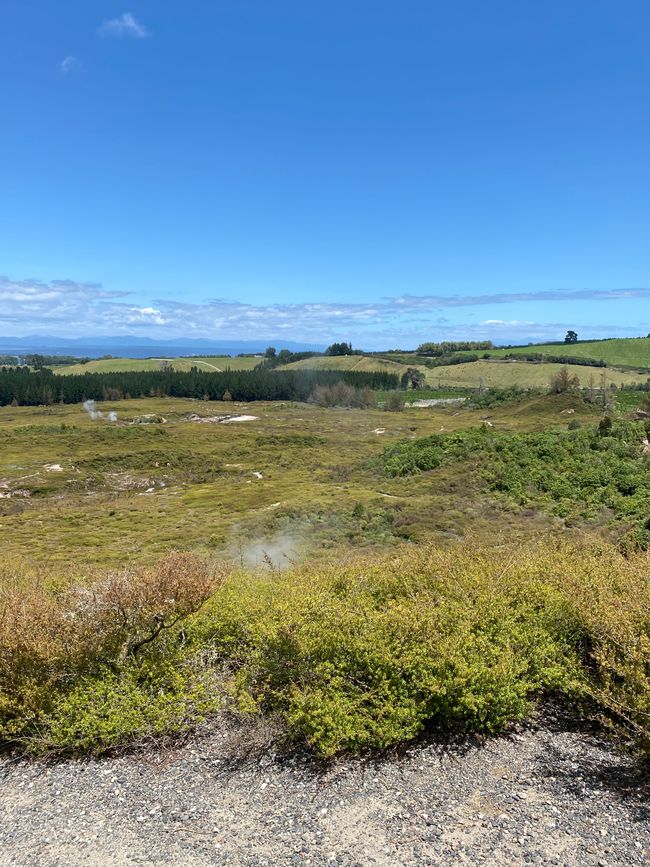 View from Craters of the Moon on Taupō