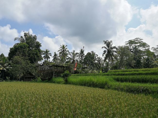 Bali Vibes in Canggu und Ubud