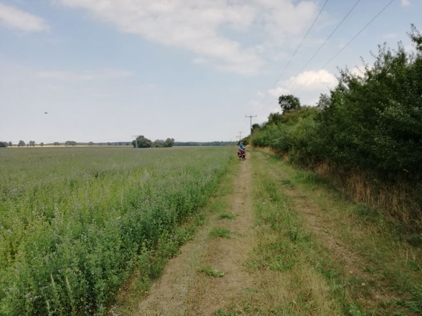 Caminos III