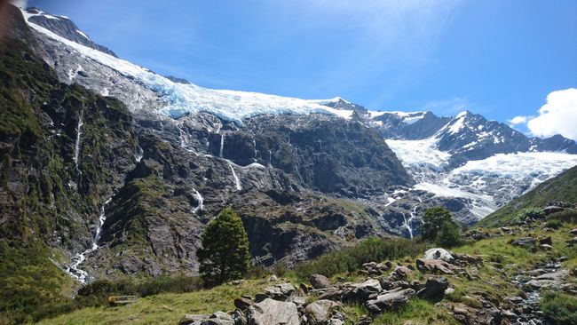 Rob Roy Glacier (Upper Lookout)