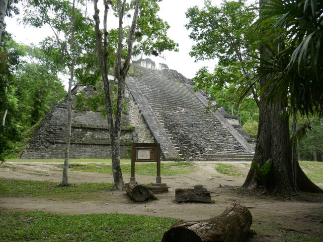 Tikal - Pyramid in the Ciudad Perdido
