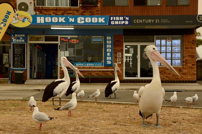 Other customers wait in front of the fish and chips shop
