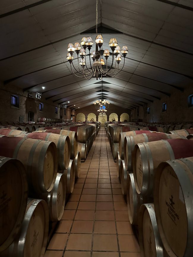 Stellenbosch 