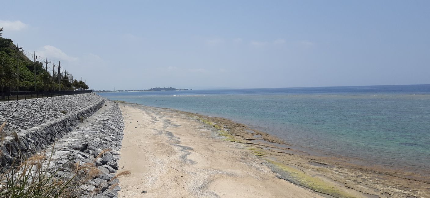 Okinawa Part 2 - Kunigami and cycling to Cape Hedo