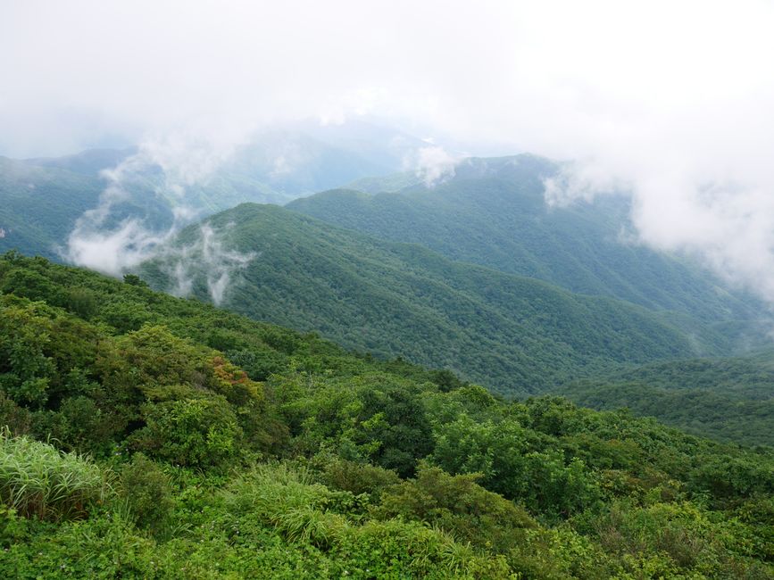 Rain in Jirisan National Park