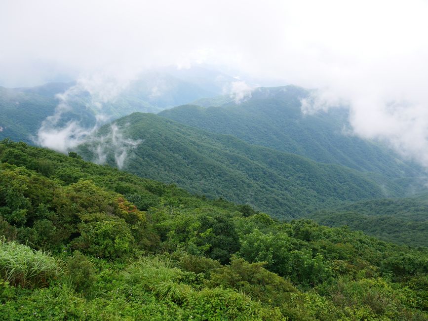 Regen im Jirisan-Nationalpark