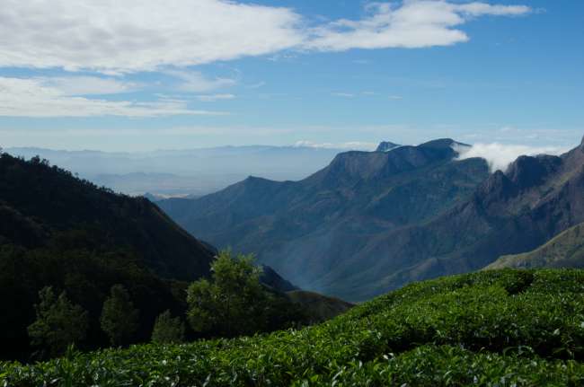 in und um Munnar rum