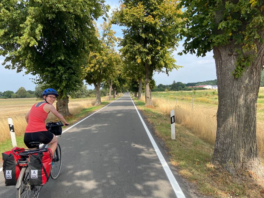 Carreteras rurales, a veces estrechas