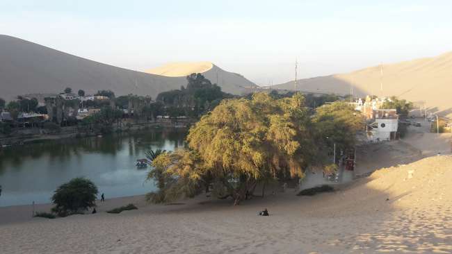 Huacachina Oasis in Ica
