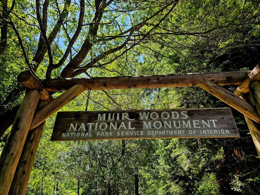 Muir Woods nasjonalmonument