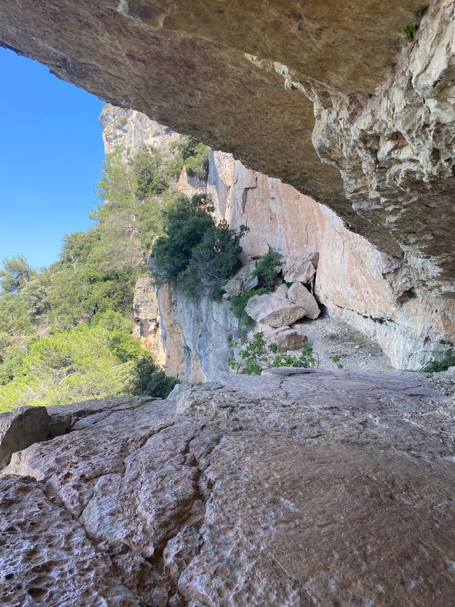 Canopy in the rock