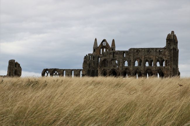 We drive along the coast to the ruins of Whitby Abbey