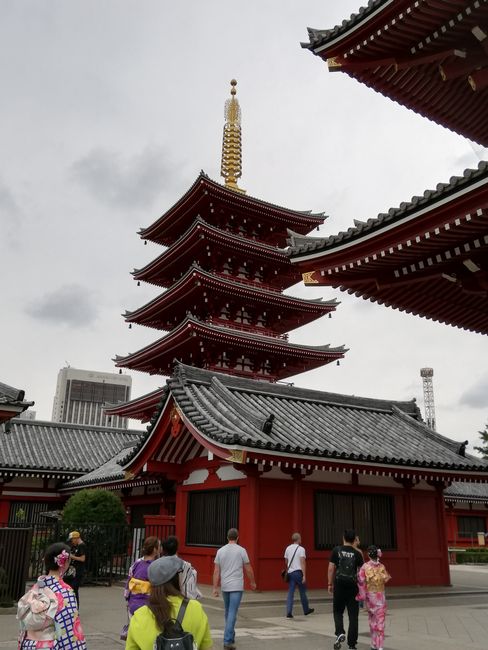 Meji Shrine, parks and the Skytree