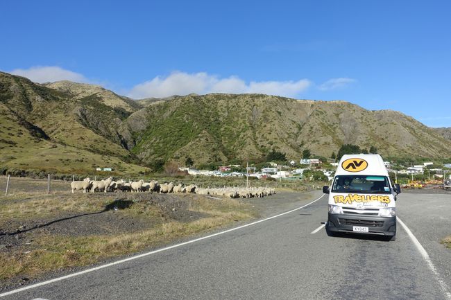 Road trip through the North Island of New Zealand