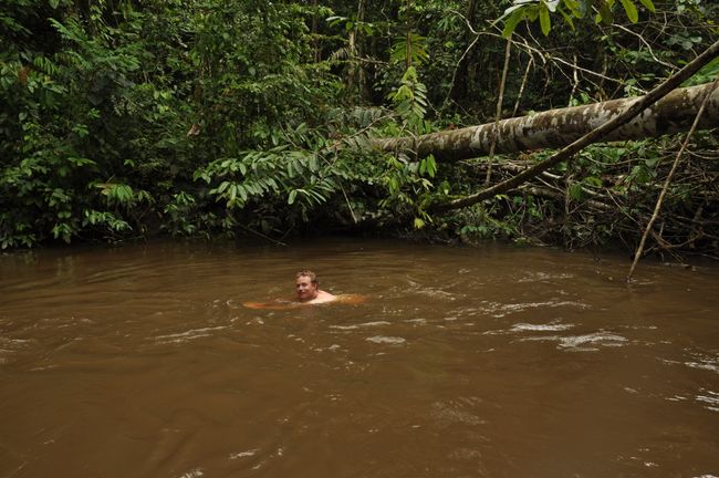 In the Rio Santa Cruz in the middle of the rainforest (2 hours on foot from the village), you can swim wonderfully
