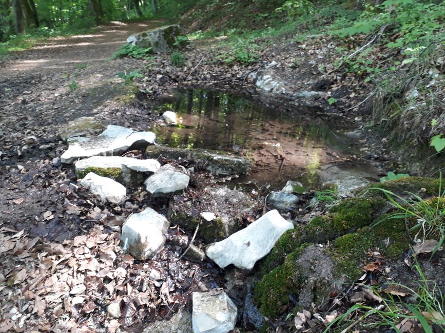 Hiking and cycling tours in the heart of Bavaria