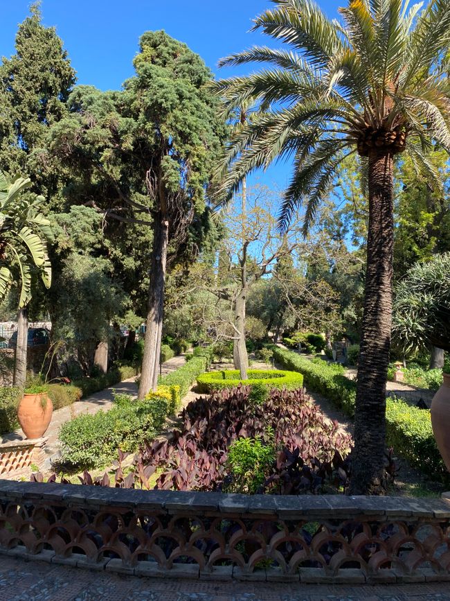Einzigartiger Park in Taormina