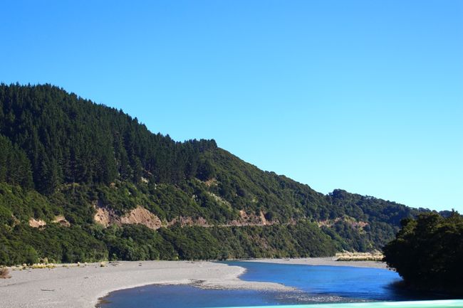 Hicks Bay and Te Araroa