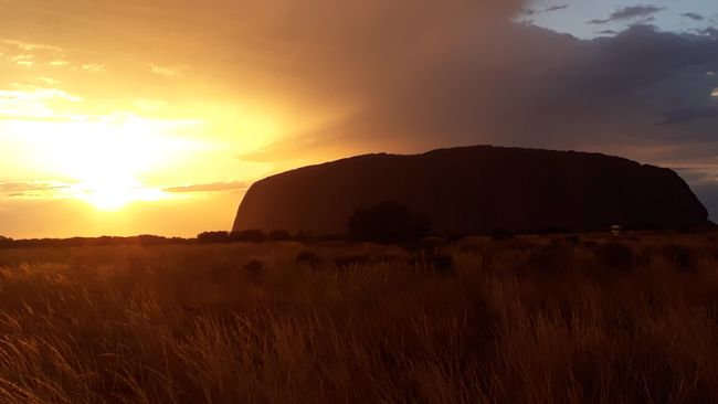 Sonnenaufgang beim Uluru