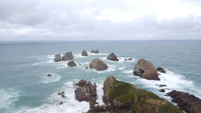 Nugget Point #2